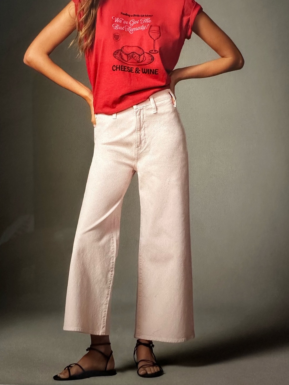 New with Tag Anthropologie Red Cheese & Wine Graphic Short Sleeve Tee - Picture 4 of 8